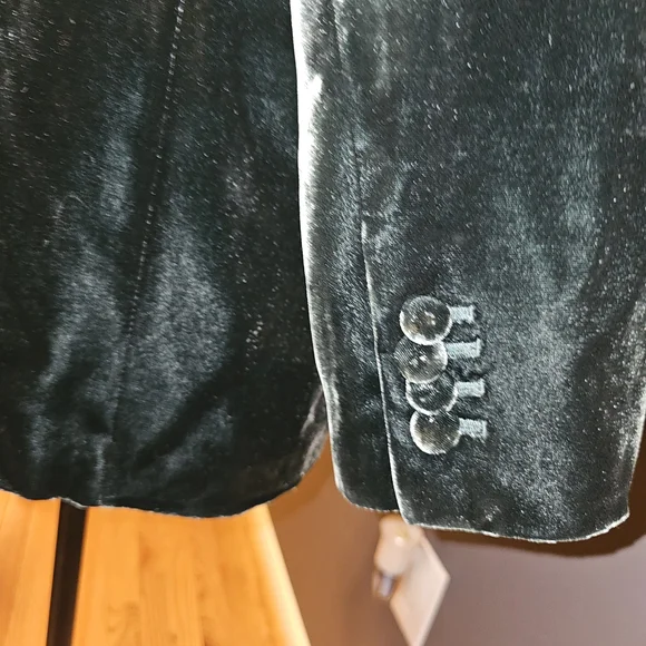 Banana Republic Green Velvet Blazer - Alyse Relaxed Velvet Blazer - Size 12 - Picture 6 of 10